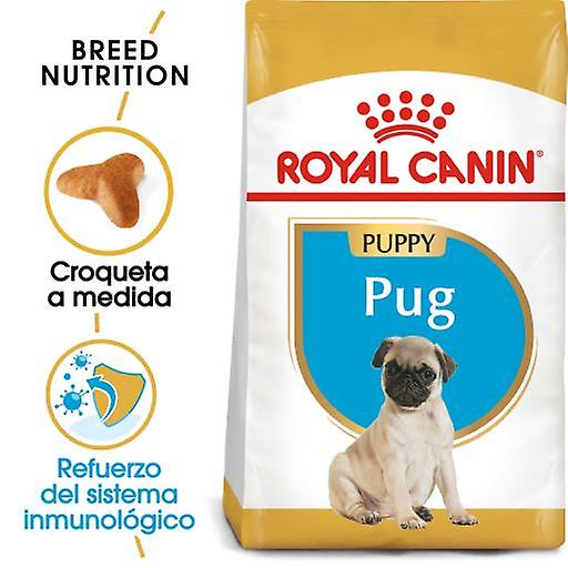 Royal Canin Pug Junior (Dogs , Dog Food , Dry Food)