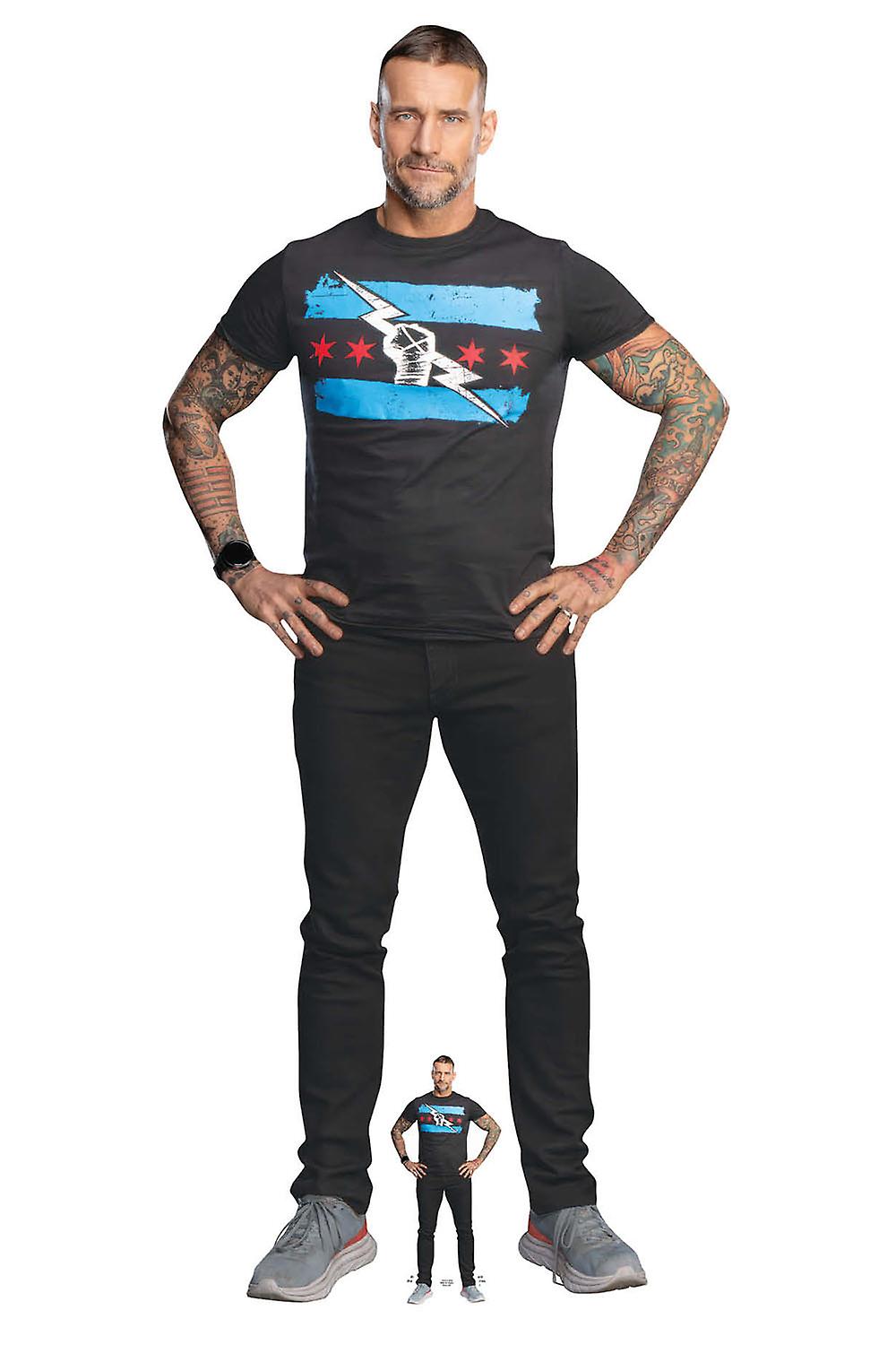 CM Punk WWE 真人大小纸板剪影/立牌/立牌
