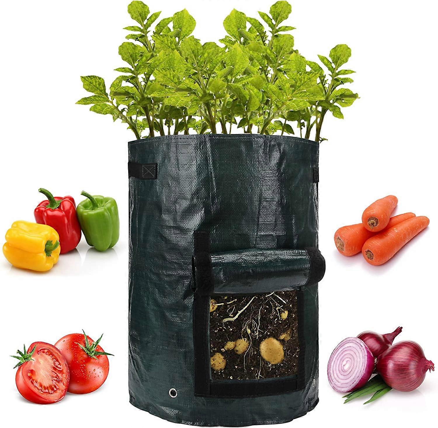 Gallon (Approx.  L) Garden Potato