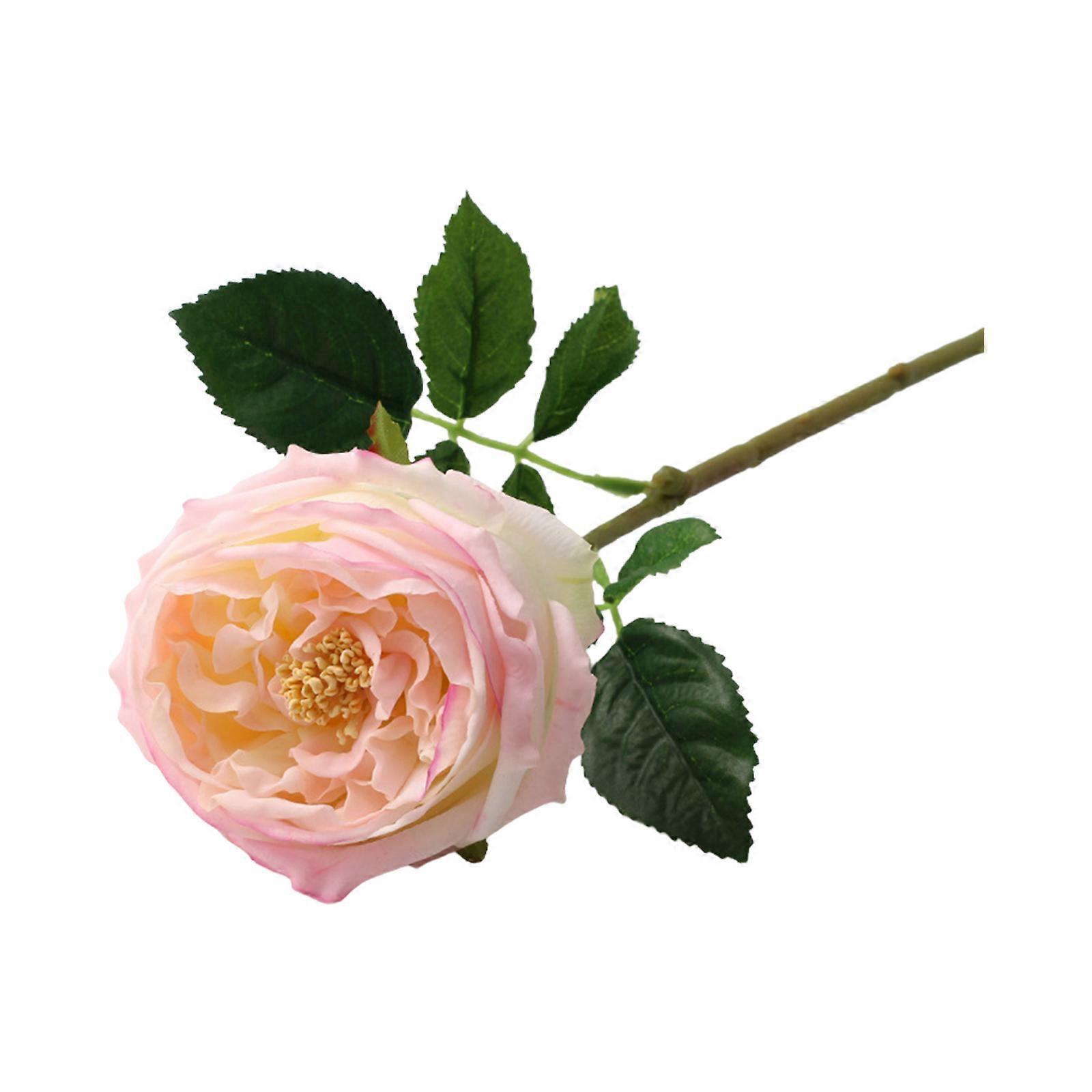 austin rose, light pink, moisturizer, total length 45cm