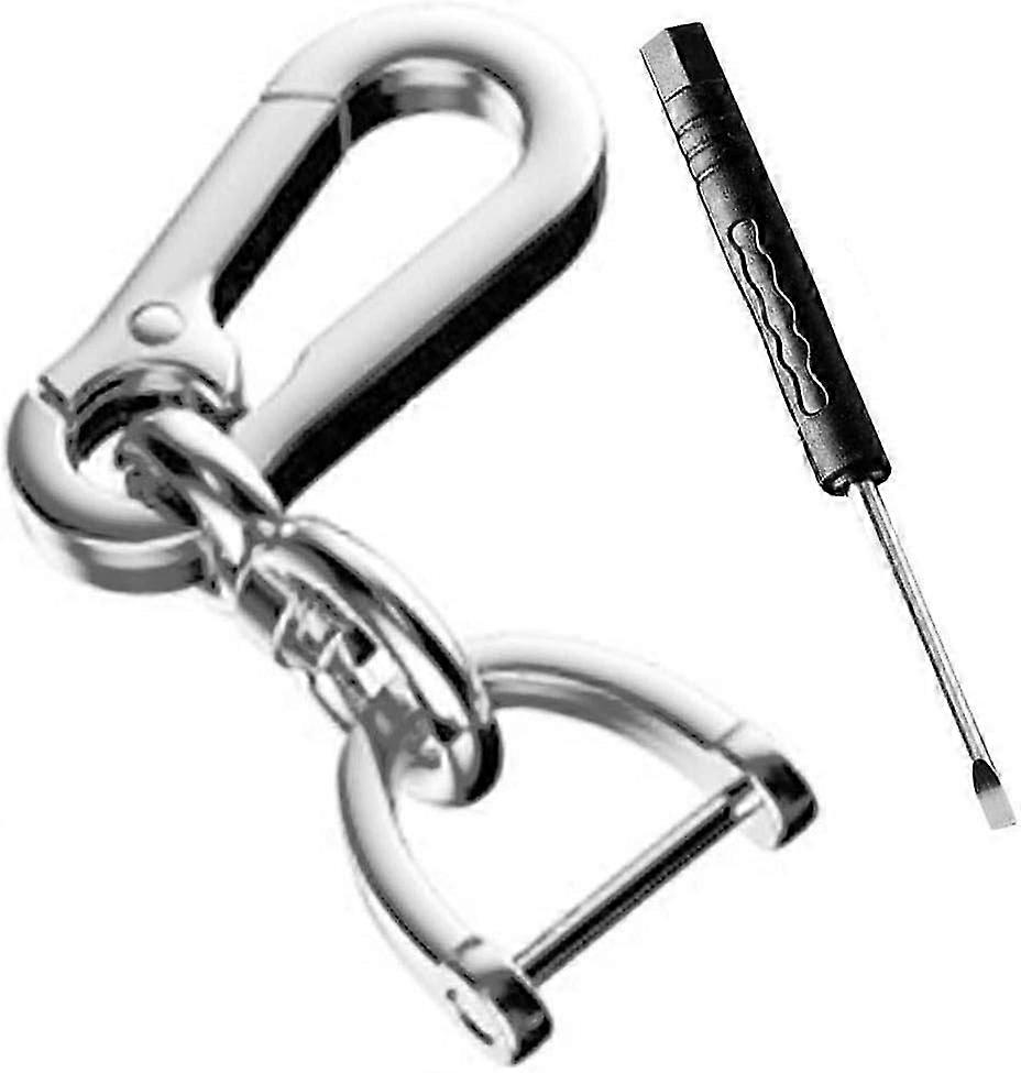 Car Keychain Metal Keychain for Car Smart Retro Key Ring Detachable Key Clip with Horseshoe Shape D-Ring (Silver)