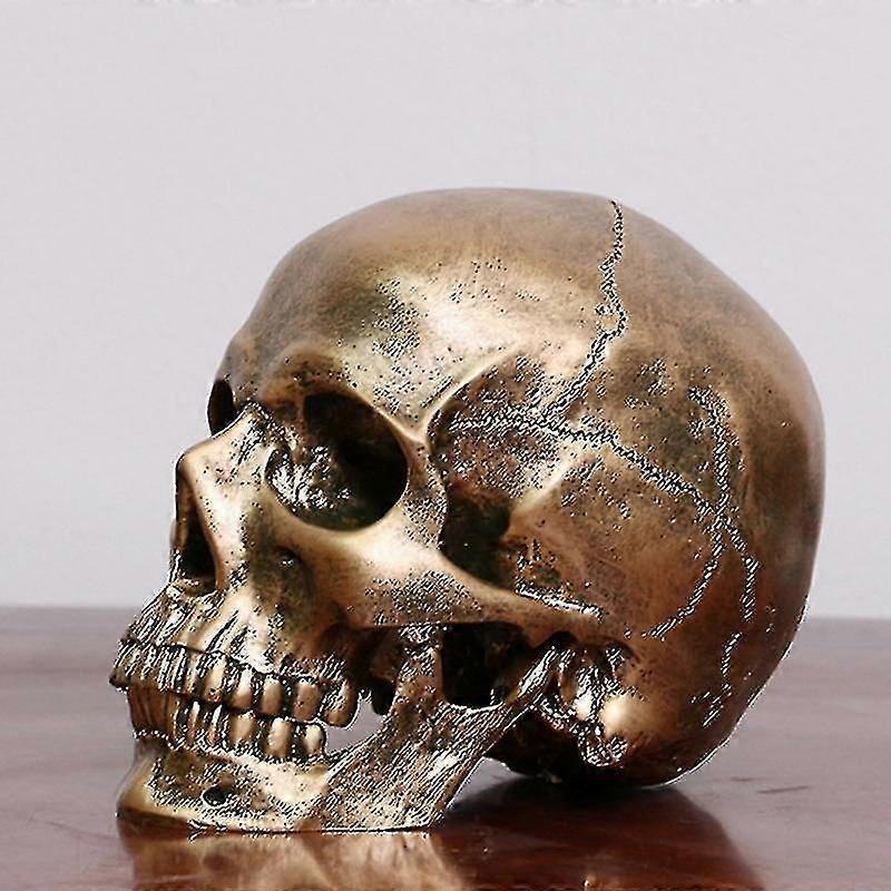 İnsan Bronz Reçine Kafatası Modeli Tıbbi Cadılar Bayramı Gerçekçi 1: 1 Heykel Dekor