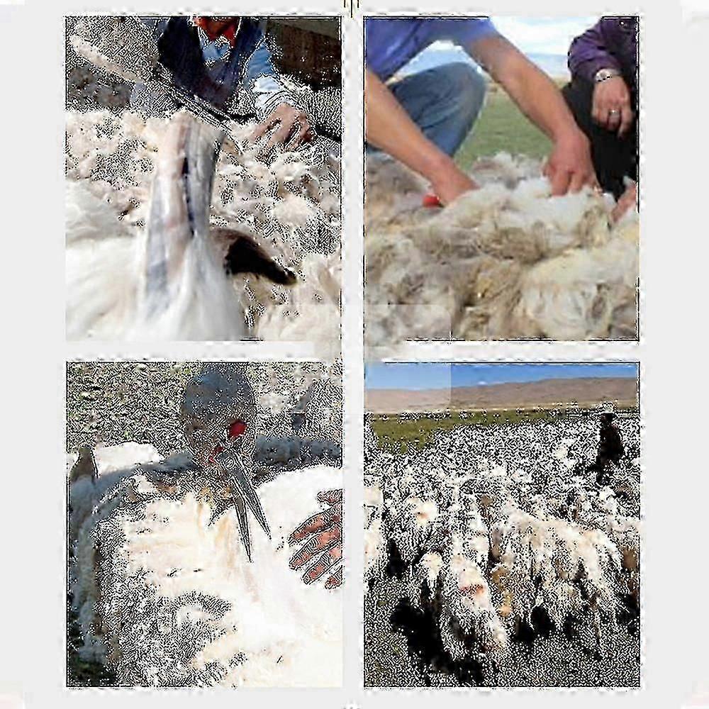 Handschere für Gartenarbeit oder Schafschur - Formschnitt-/Heckenschere