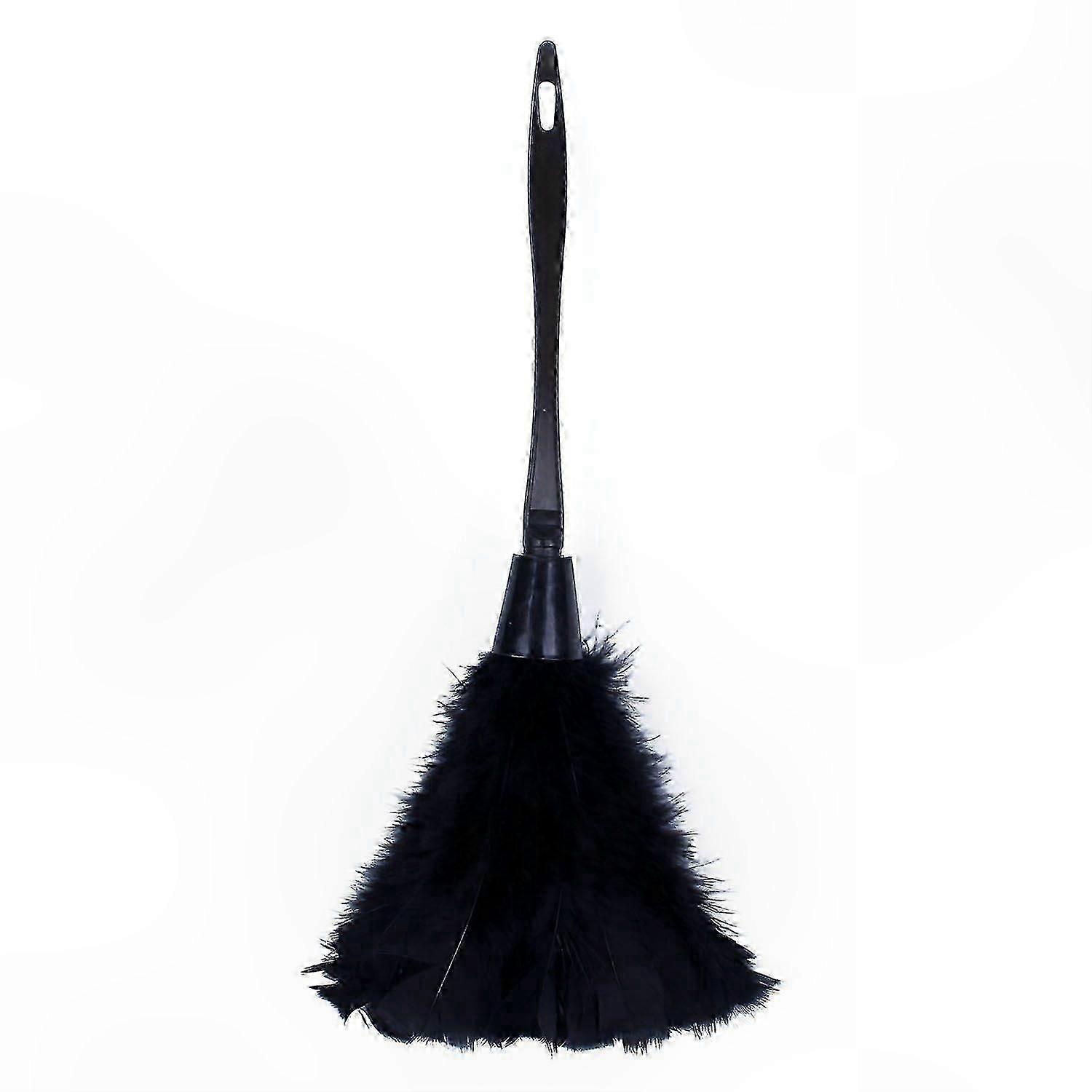 Multicolor Turkey Feather Duster with Black Handle, 35cm Cleaning Tool