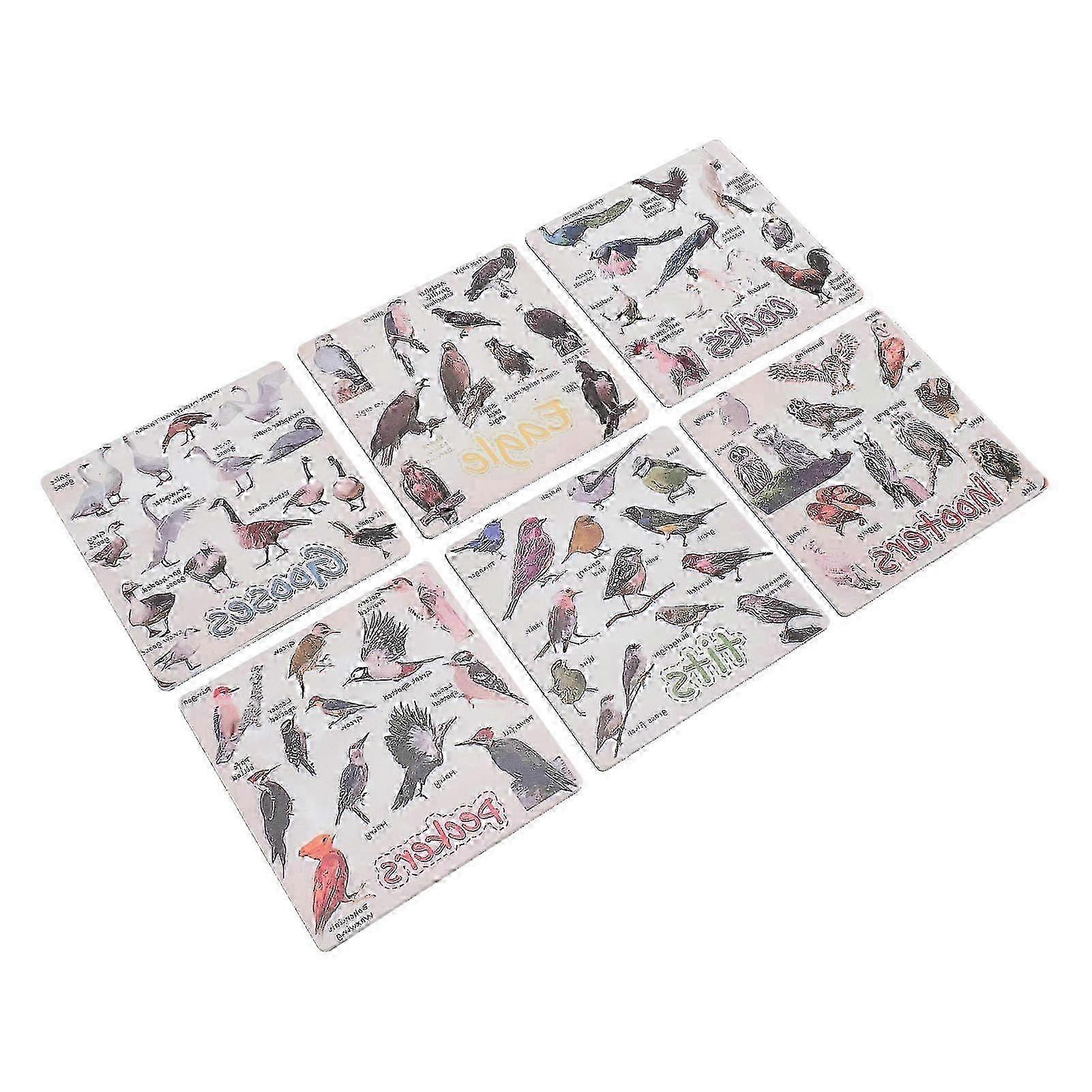 6pcs Stylish Bird Pun Coasters, Acrylic Multi-Pattern Rectangular Set for Home Decor