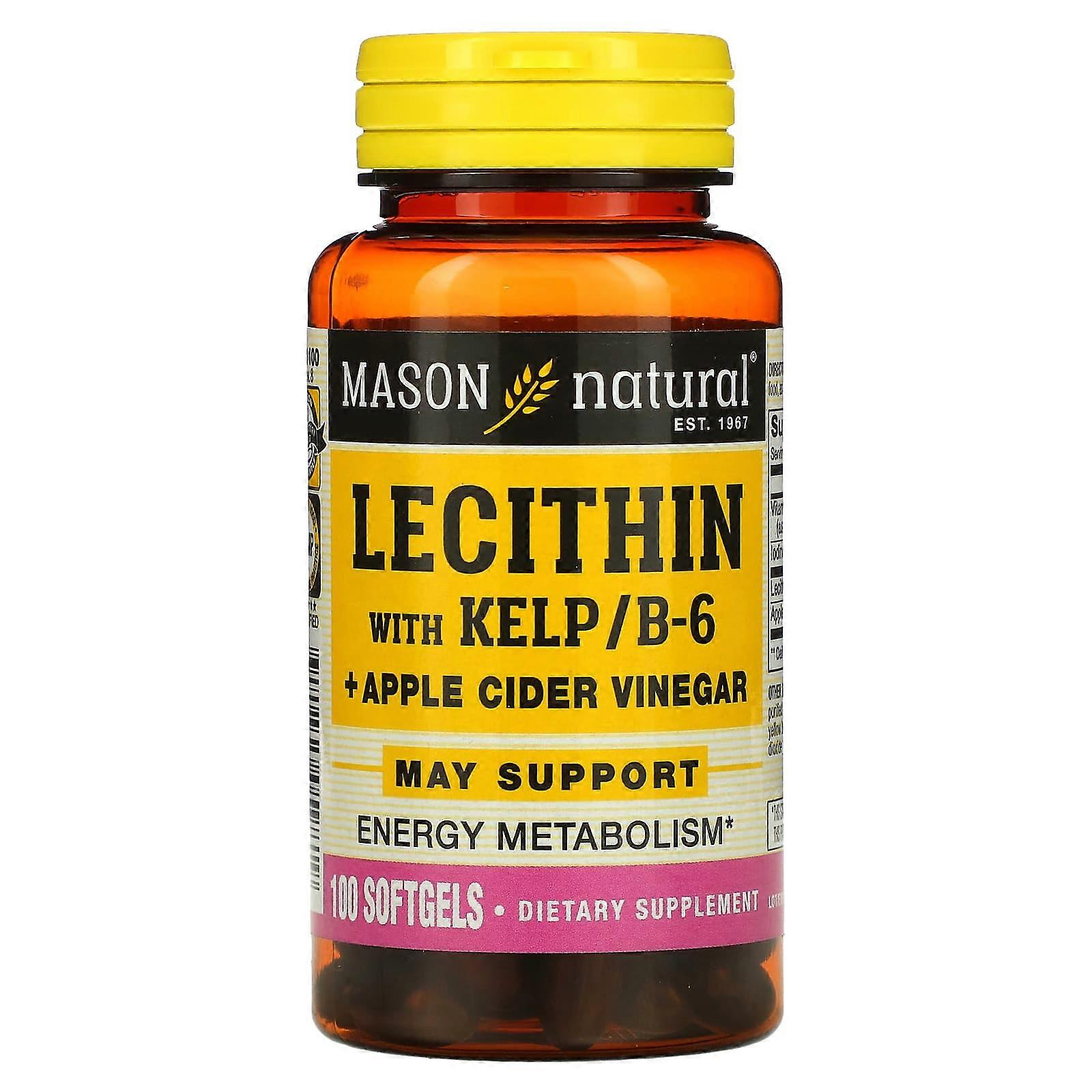 Lecithin with Kelp/B6 Plus Apple Cider Vinegar, 100 Softgels