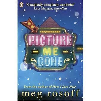 Picture Me Gone - Meg Rosoff