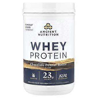 Ancient Nutrition, Protéine de lactosérum, Beurre de cacahuète au chocolat, 609,01 g