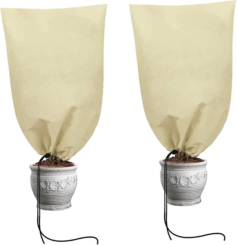 Wintering Cover, Wintering Veil, 2 Pieces Wintering Veil for Plants, Warm, Reusable (60 x 80 cm)