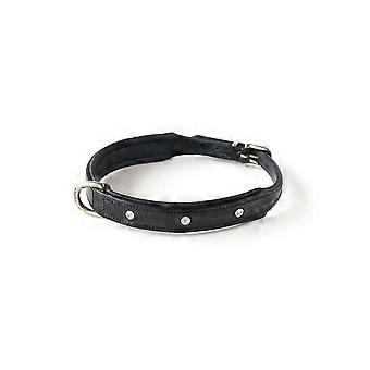Dog Collar Lined with Leather