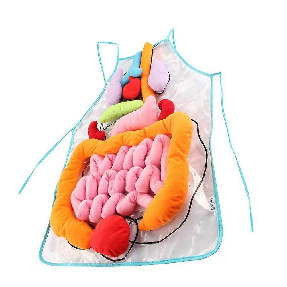 Human Organs Teaching Apron Educational Anatomy Learning Tool with Removable Organs for Interactive Study