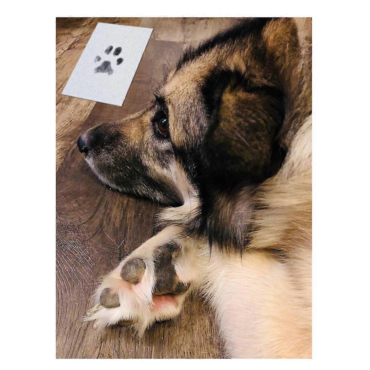 Print Kit for Dog Cats, 4 Inkless Print Pads, 8 Imprint Cards