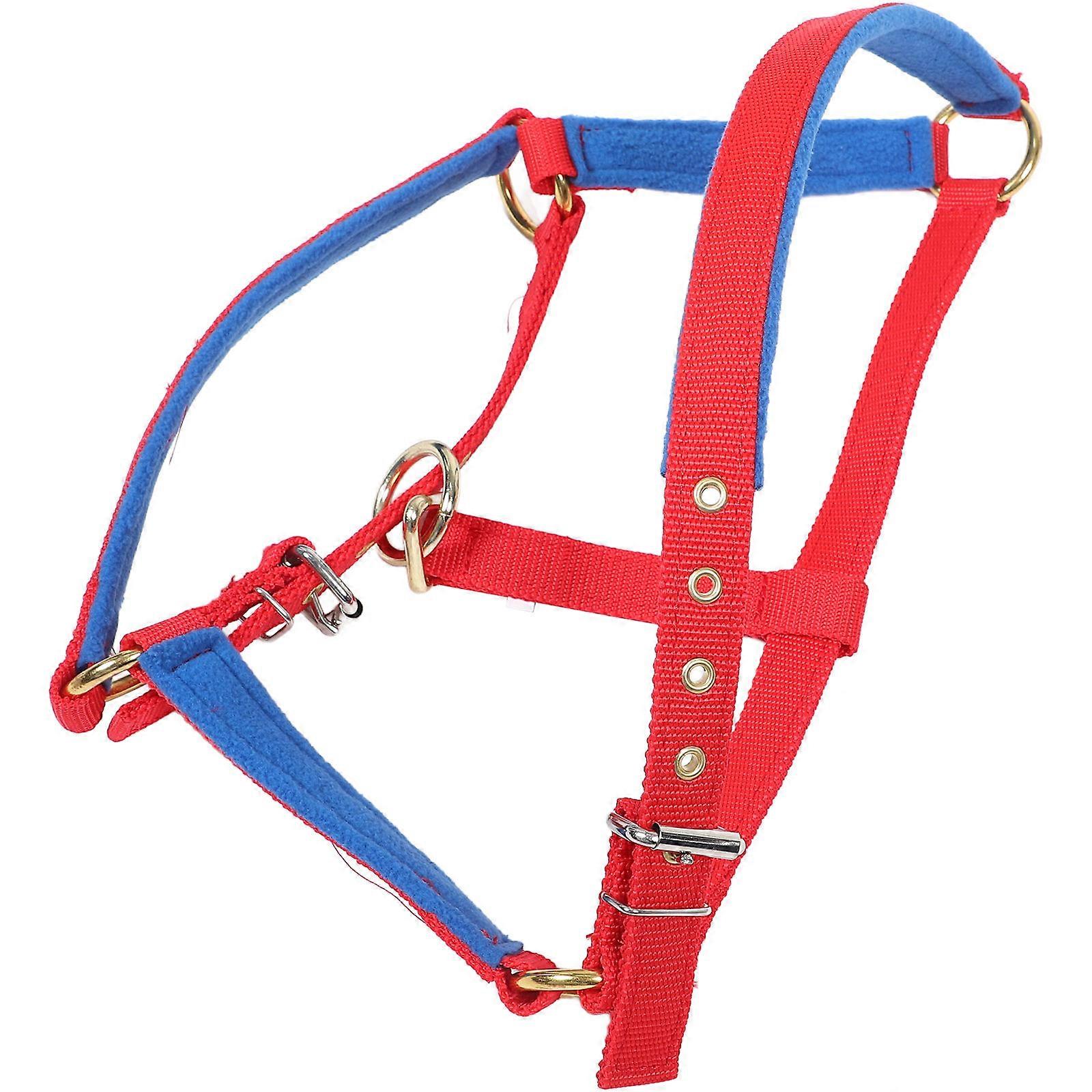Horse Halter Protective Equipment Training Riding Versatile Use 1Set