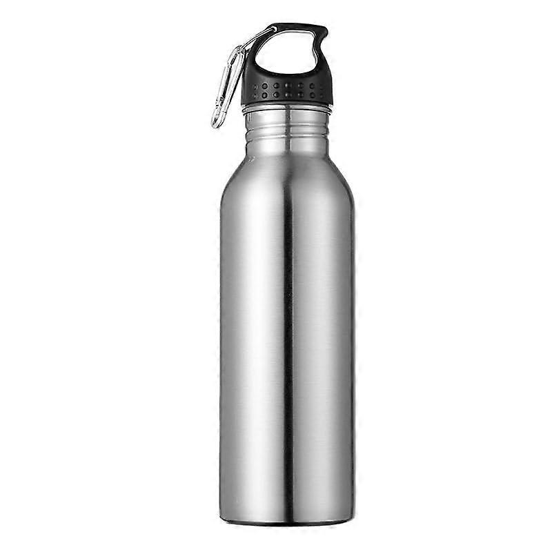 Stainless Steel Insulated Water Bottle 750ml Hook Silver, BPA , Reusable LeakProof Bottle for Sports Gym