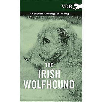 Il levriero irlandese - Un'antologia completa del cane