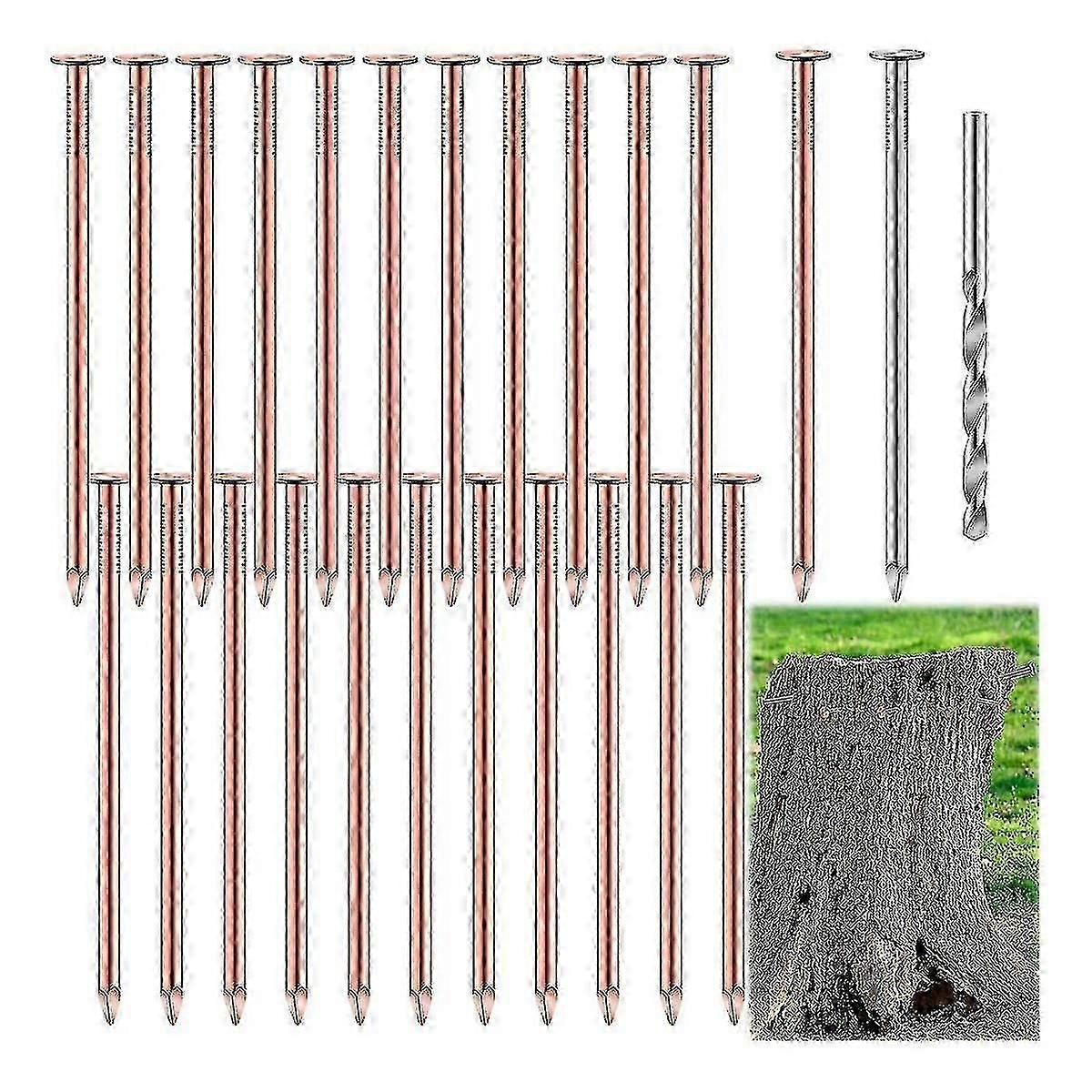 25 pregos de cobre puro de 8,9 cm (3,5 polegadas), ferramentas para remoção de tocos.