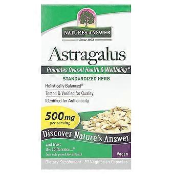 Nature's Answer, Astragalus, 500 mg, 60 Vegetarian Capsules, 2-Pack