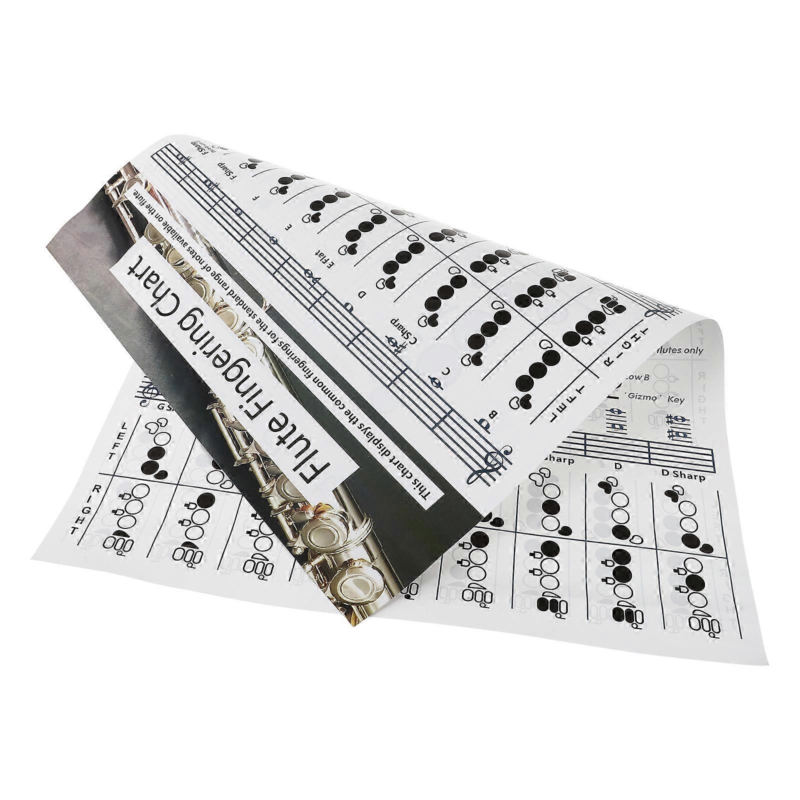 Practical Flute Finger Guide Chart Useful Flute Chord Chart for Flute Beginners