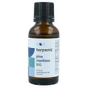 Maritime pine (turpentine) organic essential oil 30 ml of essential oil