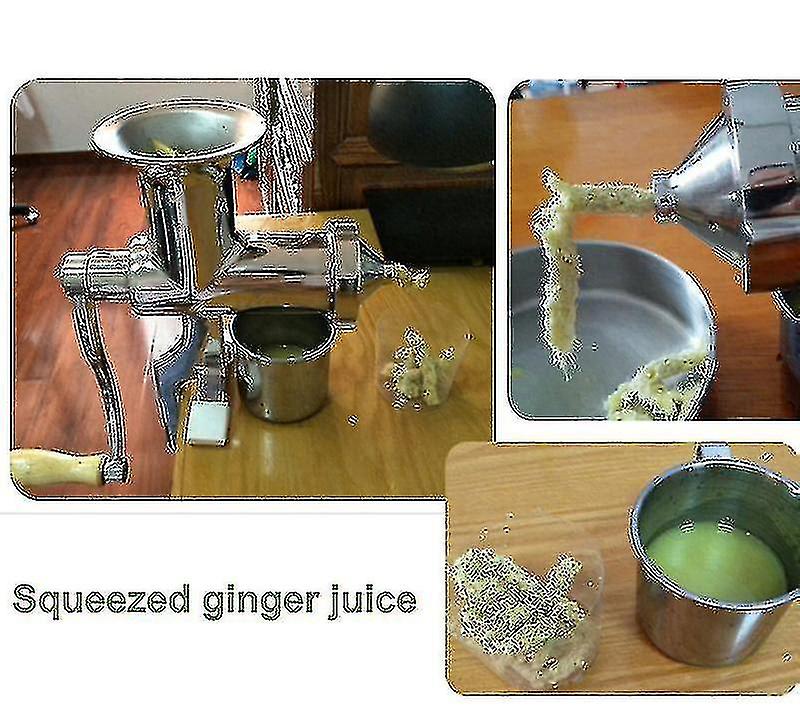 Extracteur de Jus Manuel en Acier Inoxydable Herbe de Blé