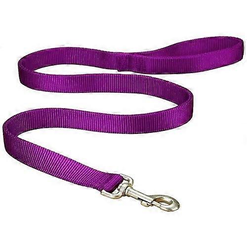 Hamilton Leash Double Thick 1" 6Ft Purple, 1 Each