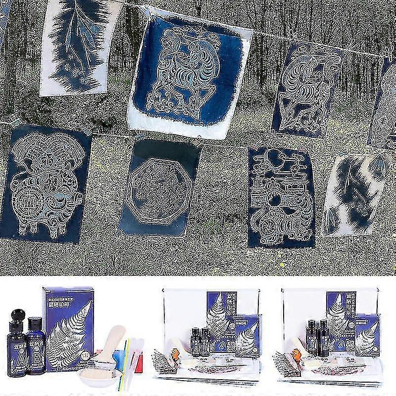 Cyanotype Set Potassium Ferricyanide Cyanotype Printing Diy Kit