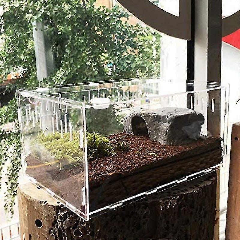Mini Terrarium Transport Box, Acrylic Reptile Feeding Box, Portable Reptile Breeding Box Transparent Reptile Breeding Case