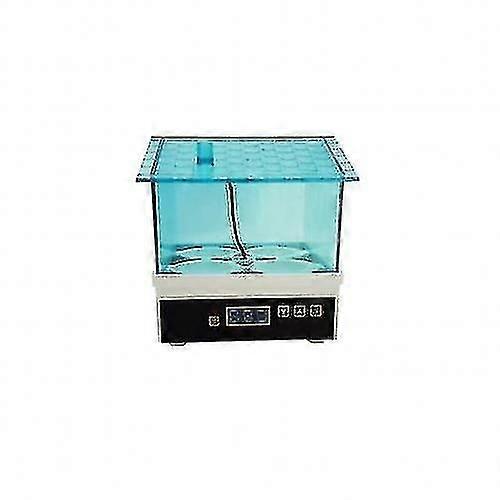Household 4-slot bird incubator