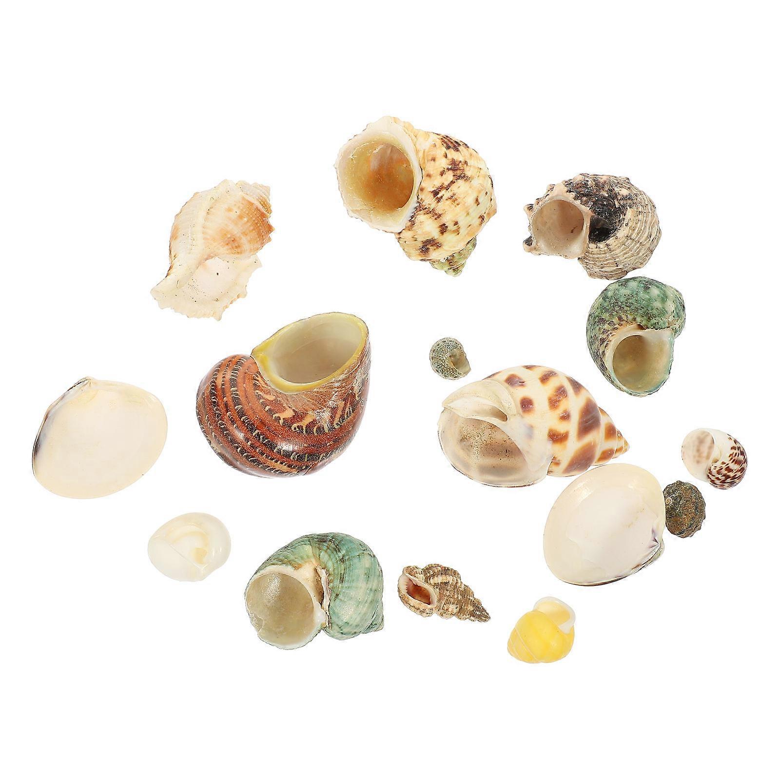 Shell Conch Accessories Creative DIY Shell Kit for Fish Tank 1Set