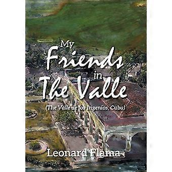 Mes amis dans la Vallée