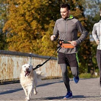 All-Season Reflective Dog Leash with Waist Bag