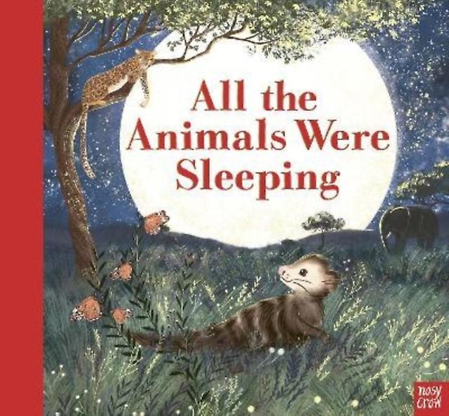 All The Animals Were Sleeping by Clare Helen Welsh Paperback Book