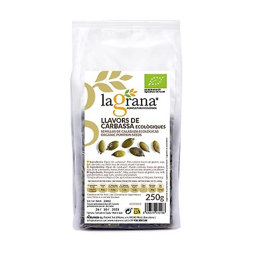 Organic Pumpkin Seeds 250 g