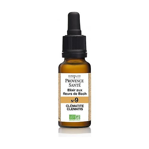 Organic Clematis 20 ml of floral elixir