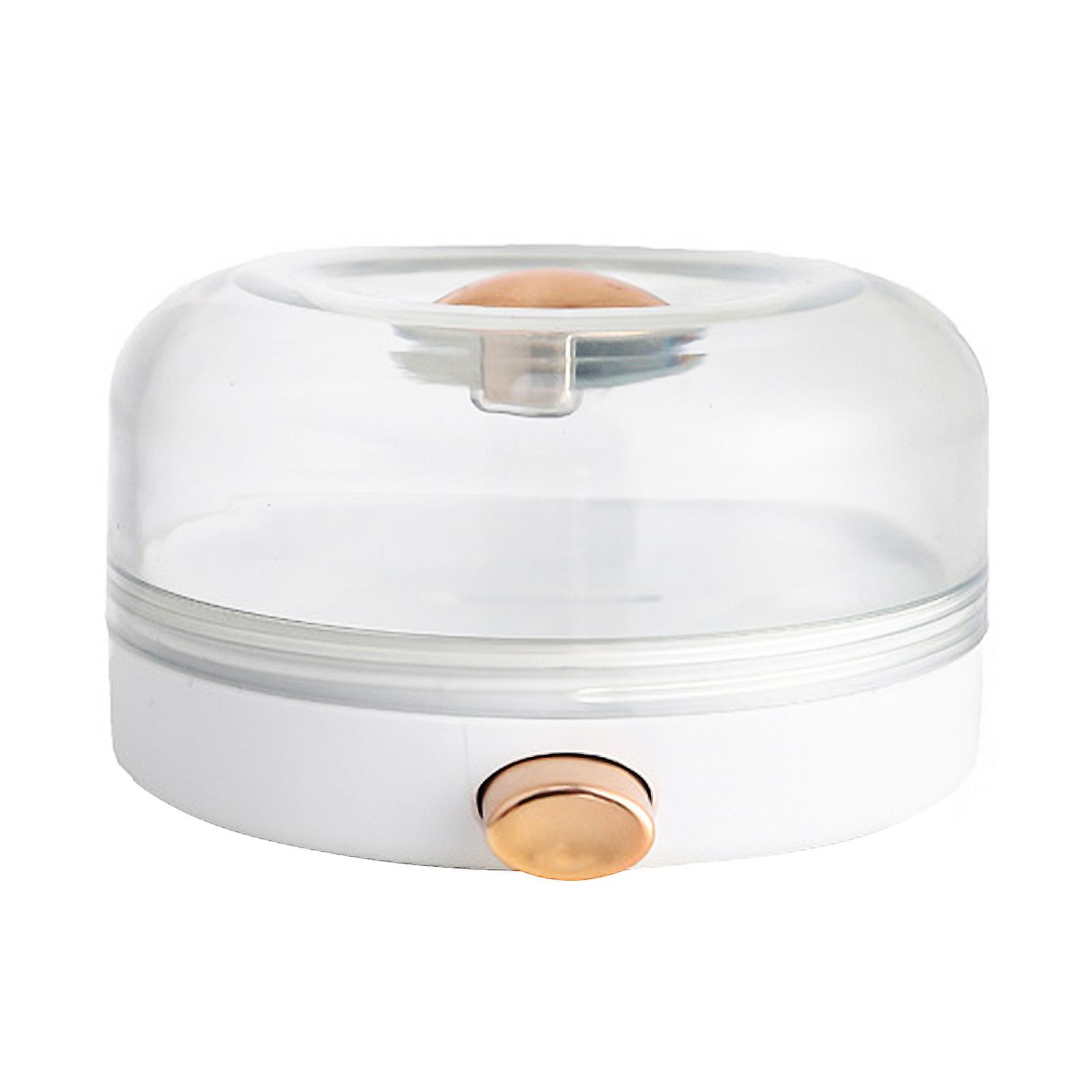 Wall-Mounted Magnetic Spice Box with Clear View for Kitchen Storage