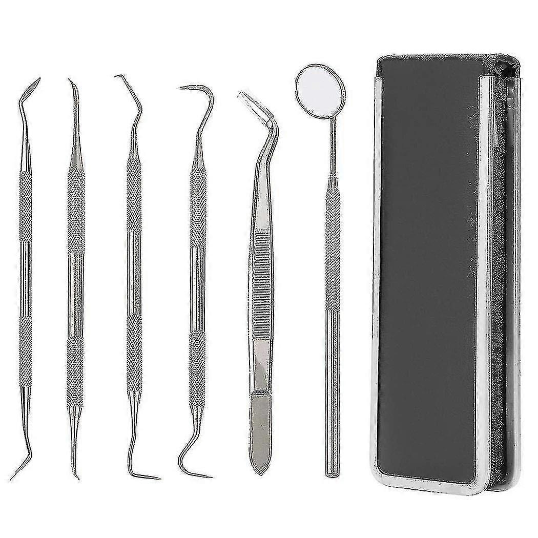 6pc Dental Tools For Dental Hygiene With Shell