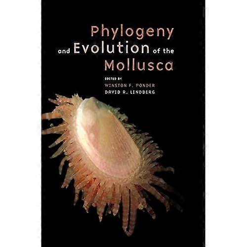 Fylogenia a evolúcia Mollusca