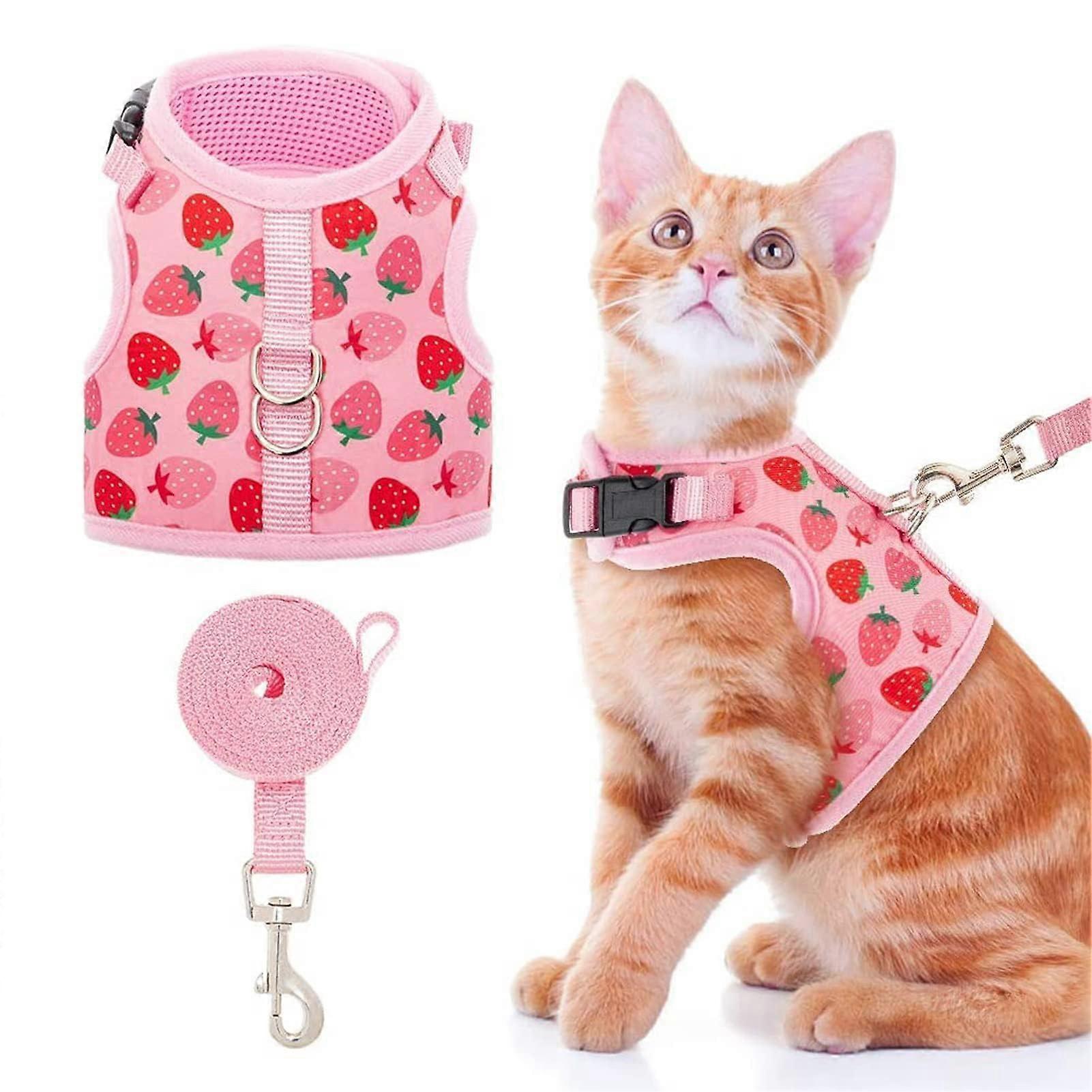 Large Size Fashionable Mesh Cat Harness for Outdoor Use, Breathable Fabric, Adjustable Fit, Various Colors