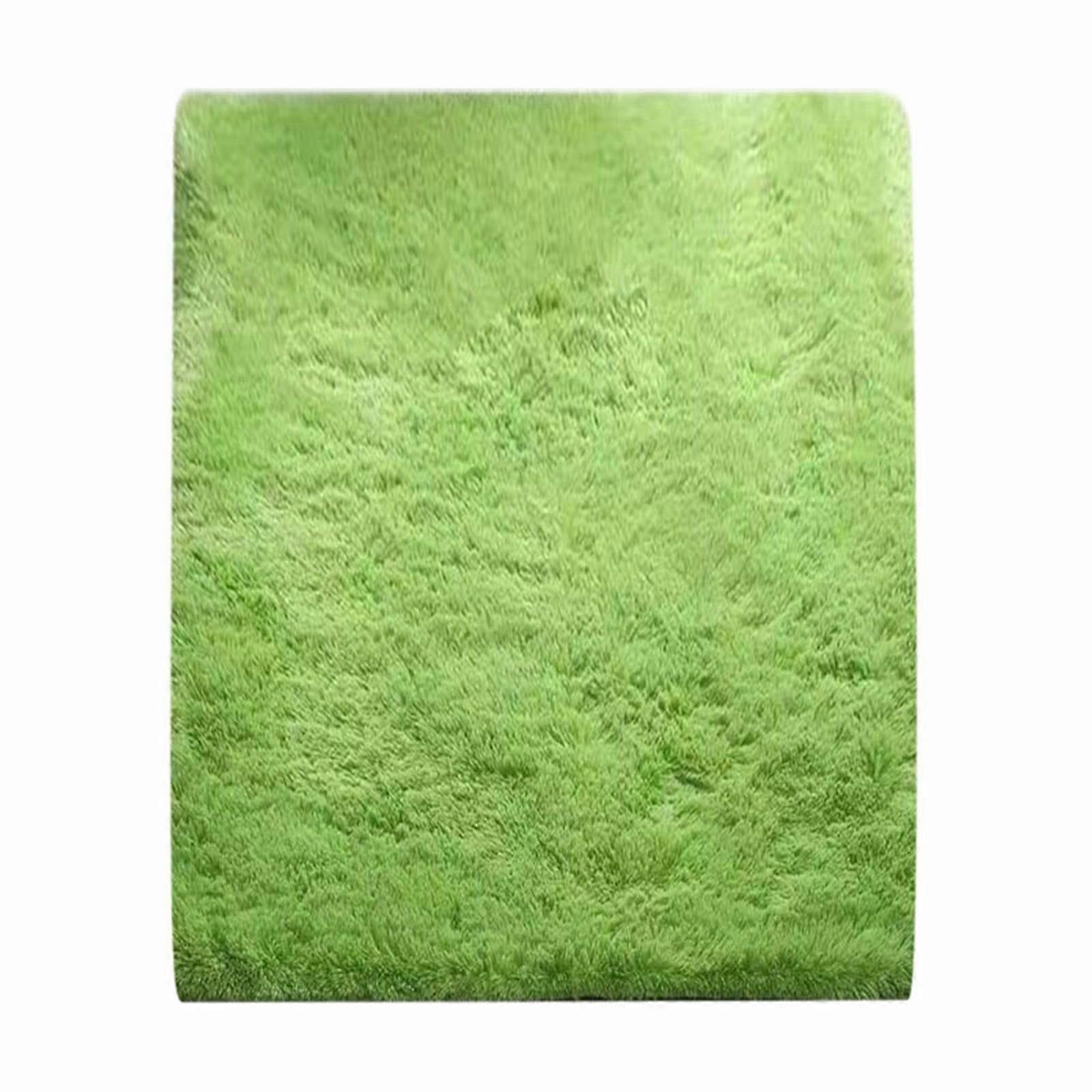 2x3 Area Rugs for Bedroom, Soft Small Throw Rug for Dorm, Soft Fluffy Shaggy Plush Fuzzy Shag Non-Slip Washable Carpet for Bedside Closet Girls Boys R