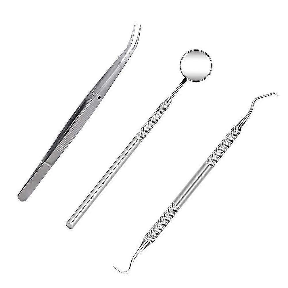3 Pcs Dental Tools Tarter Remover Tarter Scraper Tool Dental Scaler Professional Dental Scaler Denta