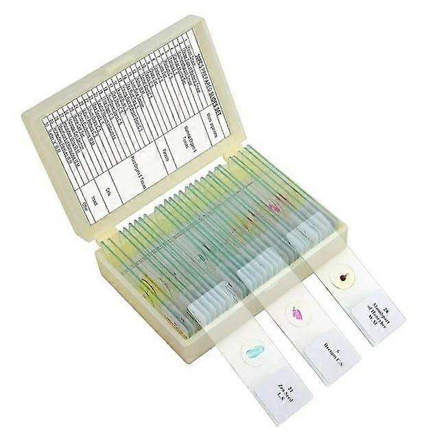 Microscope Biology Slides Children Students Teaching Glass Slides Experiment Specimen Set Plant Cells