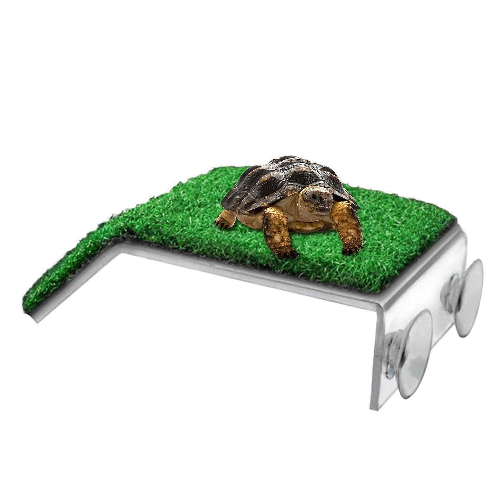 Cozy floating turtle dock for aquariums, newts, frogs, and amphibians.