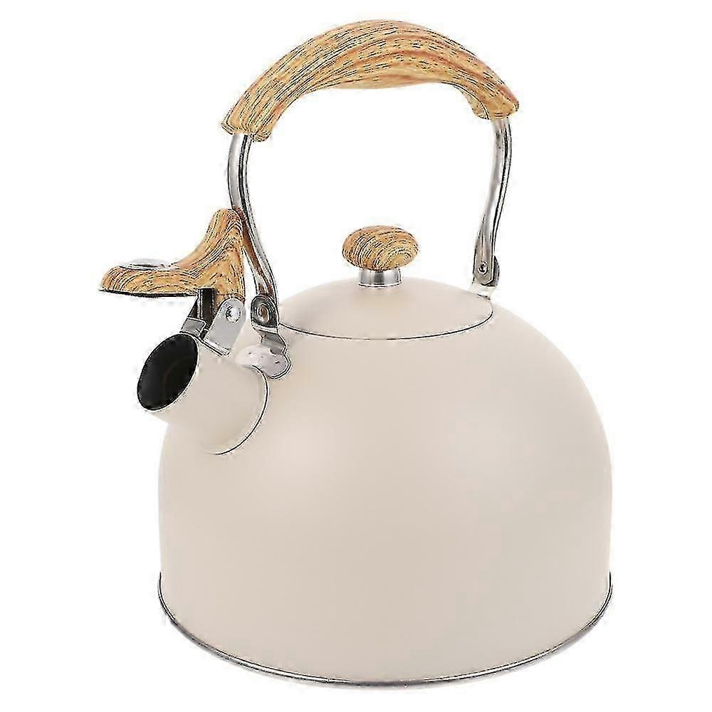 whistling kettle sounding flat steel kitchenware stainless
