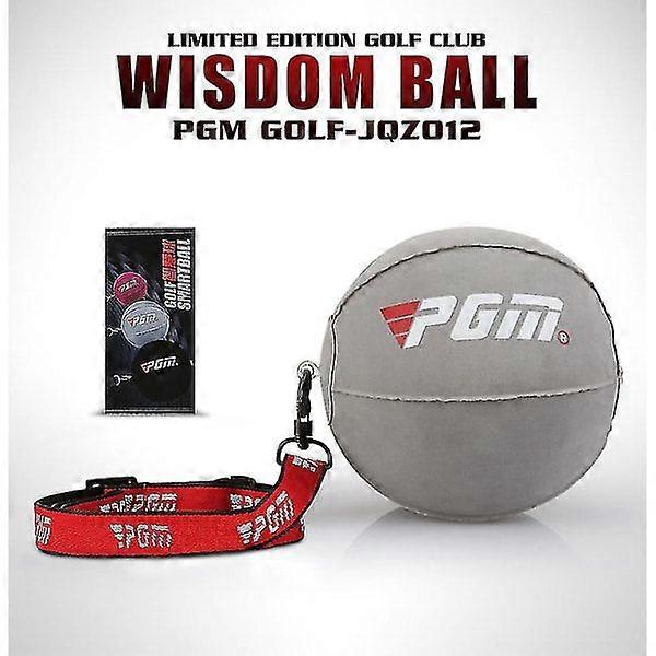 Inflatable smart golf ball trainer with portable swing arm corrector (grey)