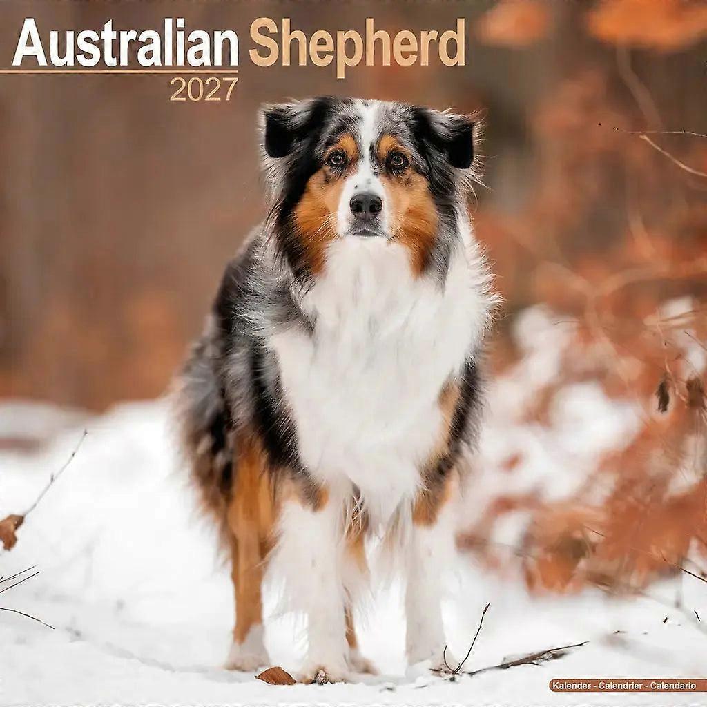 Red Robin Red Robin Australian Shepherd Calendar 2026