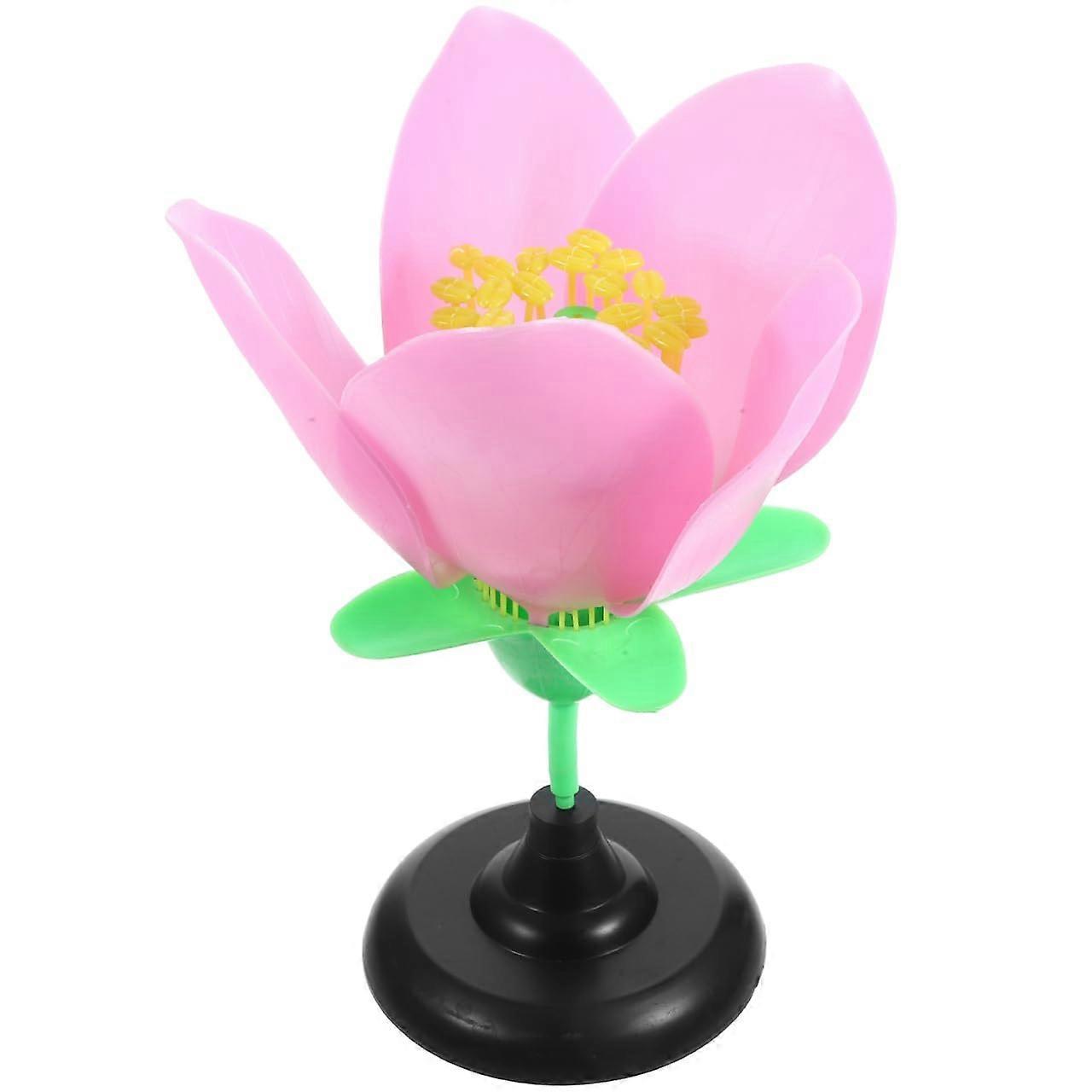 Educational Peach Blossom Structure Model