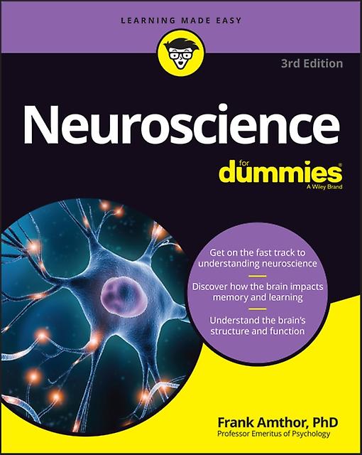 Neuroscience For Dummies by Frank University of Alabama at Birmingham Amthor Paperback