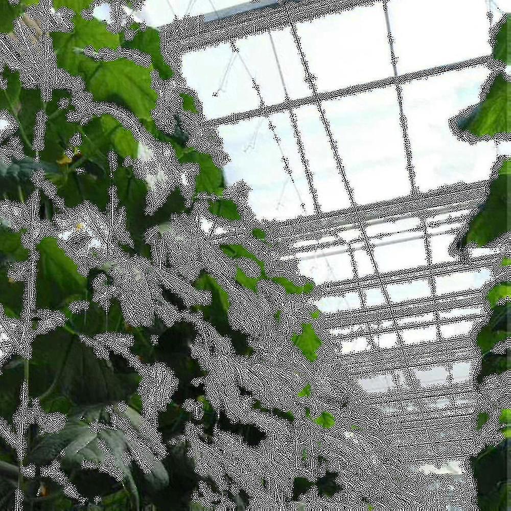 10 Pieces Tomato Hook Tomato Support Clips Vegetable Support Prevent Tomatoe From Pinching