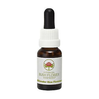 Australian Bush Flower Essences - Stock Essences 15ml-N - Z-Slender Rice Flower