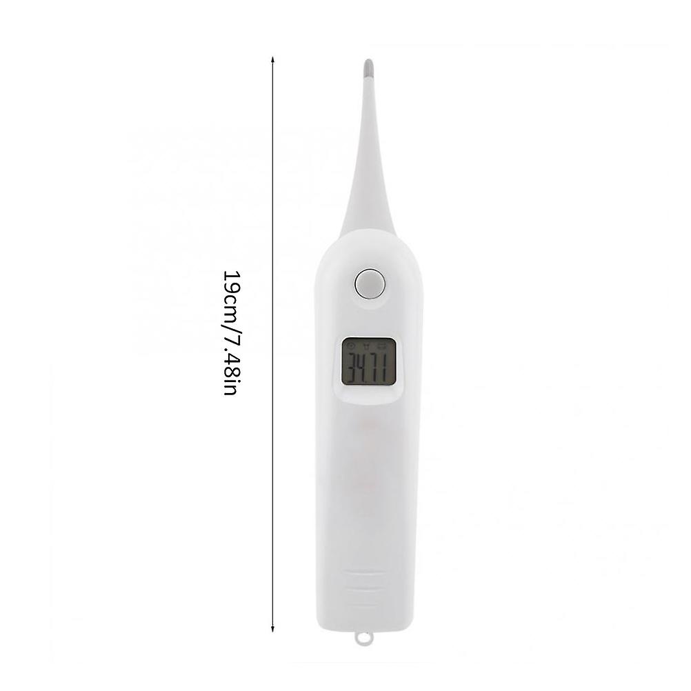 Vet Thermometer Pet Digital Thermometer Electronic Thermometer for Animals